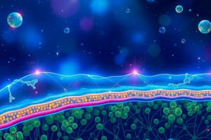 Cellular Transport: Active and Passive Mechanisms