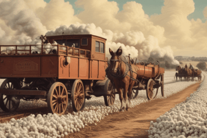 The Cotton Rush of the 19th Century