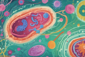 Biology Quiz: Gram-Positive and Gram-Negative Bacteria