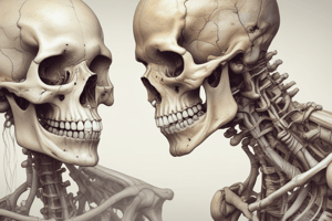 Bone Formation and Ossification