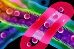 Biochemistry Lipid Properties Quiz