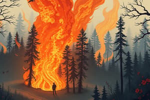 Incendios Forestales - Test nº 5