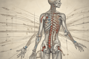 Spinal Cord Injuries (SCIs) - BMS