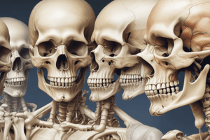 Bone Tumors Classification and Diagnosis