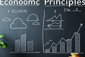 Scope and Branches of Economics