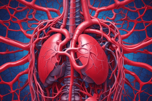 Circulatory System Overview