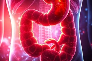 Digestive System Overview Quiz