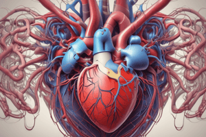 Heart Valves and Blood Circulation