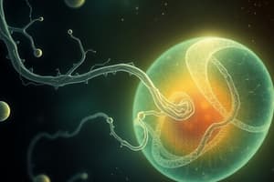 Prenatal Development and Gametogenesis