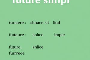 Future Simple Tense Quiz