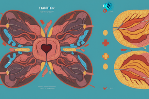 12 Transplantation