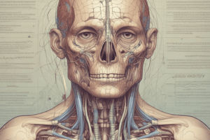 Respiratory System Module 1: Upper Respiratory Tract