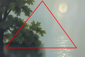 Area of a Triangle