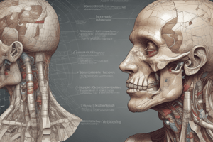 Biology ESP001: Body Tissue