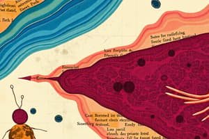 Epithelial Tissue