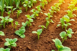 Máster en Ingeniería Agronómica: Nuevas Tecnologías