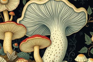 Mycology Characteristics Quiz