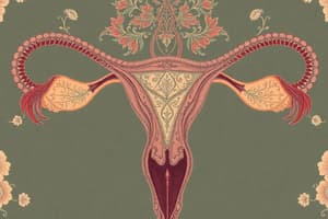 Female Reproductive System Overview