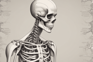 Anatomy of Joints