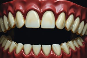 Removable Partial Denture Connectors