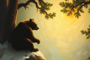 Touching Spirit Bear Chapters 1-2 Quiz