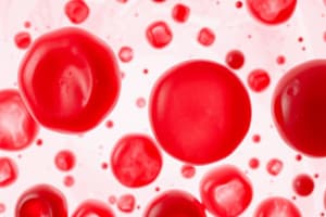 Blood Cells and Blood Types Quiz