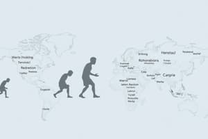 MATURA ENGLISH: Global English