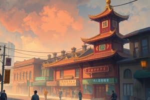 Chinatown's Aesthetic and History