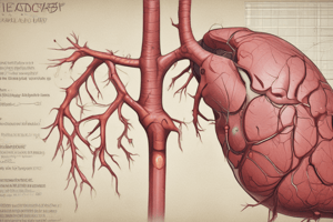 Lóbulo de Riedel: Anatomía y Prevalencia