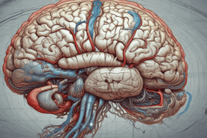 Anatomy LE 6: Basal Ganglia and Cerebellum