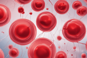 Blood Component Manufacture: Red Blood Cells