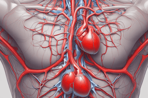 L'Apparato Cardiovascolare