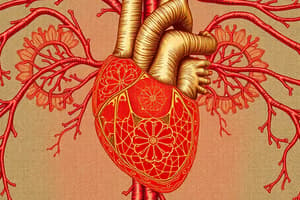 Understanding the Circulatory System