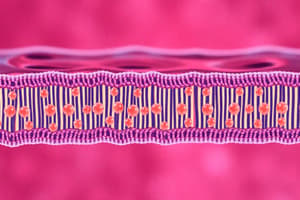 1. Cell Membrane Structure and Function