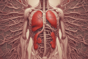 Blood Circulation and Oxygenation