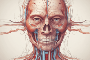 Physiology and Anatomy of Arterial Pressure Control