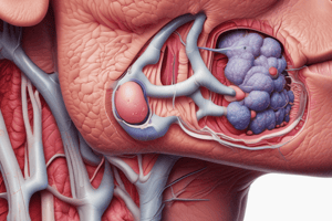 Nasal Disease: Structures and Clinical Signs