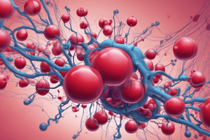 Biochemistry: Hemoglobin Structure