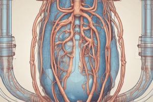 Urinary System: Filtration and Dehydration