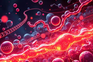 Overview of Carbohydrate Metabolism