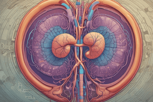 Patho 2 test 2: The Renal System