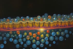 Cell Membrane Structure and Functions