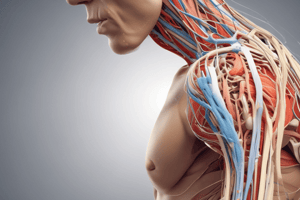 Upper Brachial Plexus Injuries and Rotator Cuff Problems