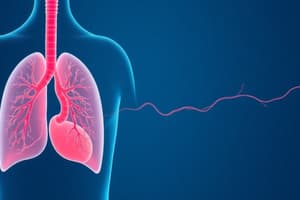 Pulmonary Circulation Quiz