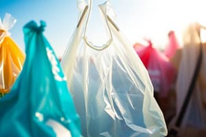 Plastic Bags Debate: Should They Be Banned?