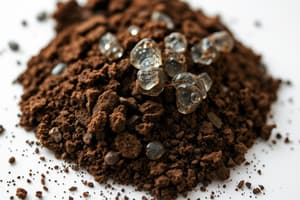 Soil Colloids Overview