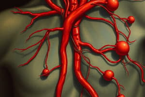 Human Circulatory System Quiz