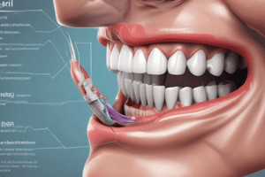 Dental Anatomy: Maxillary and Mandibular Posterior Teeth