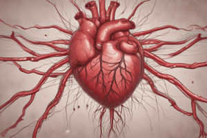 Coronary Arteries and Veins