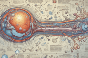 WK 11: Pathophysiology of Type 1 Diabetes